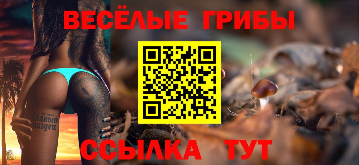 Углич  Галлюциногенные грибы Psilocybine cubensis  Вход с VPN 
