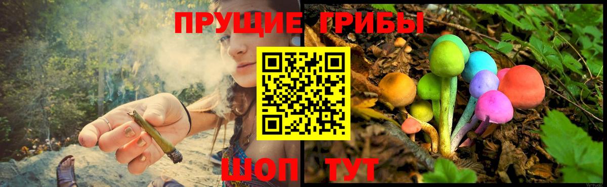 Псилоцибиновые грибы прущие грибы Углич