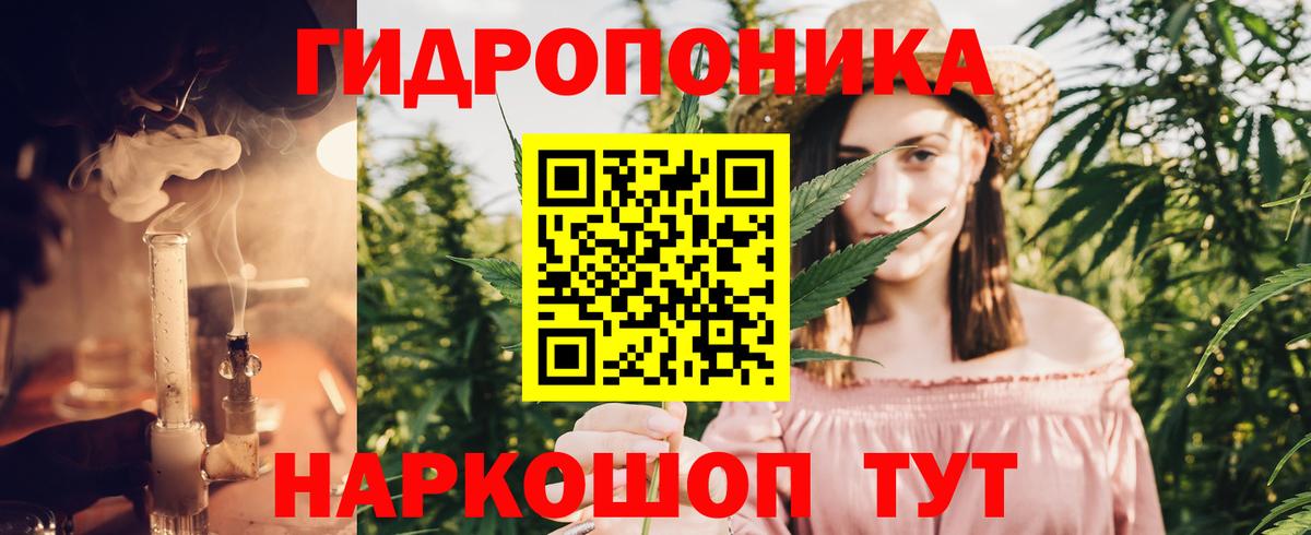 Бошки марихуана SATIVA & INDICA  Вход с VPN  Каннабис THC 21%  Углич 